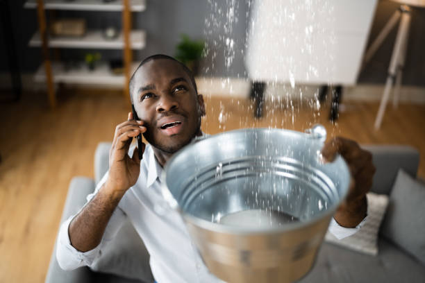 Best Commercial water damage restoration  in Sandwich, IL