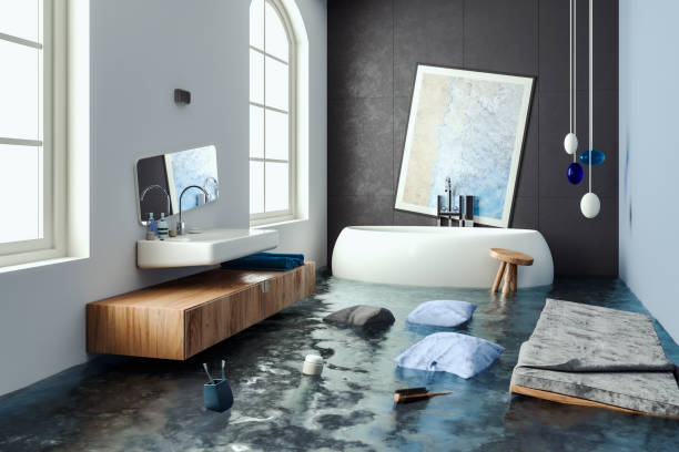 Best Water damage restoration near me  in Sandwich, IL