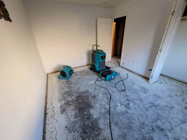 Best Water damage restoration near me  in Sandwich, IL