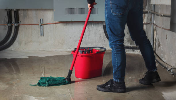 Best 24-hour water damage restoration  in Sandwich, IL