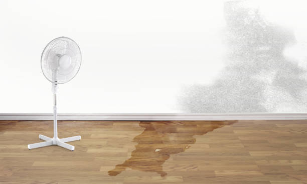 Best 24-hour water damage restoration  in Sandwich, IL