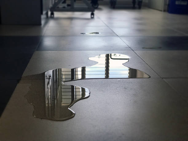 Best Professional water damage repair  in Sandwich, IL
