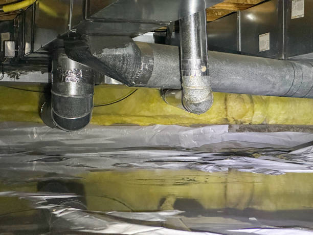 Best Flooded house restoration  in Sandwich, IL