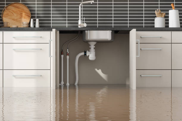 Best Residential water damage restoration  in Sandwich, IL