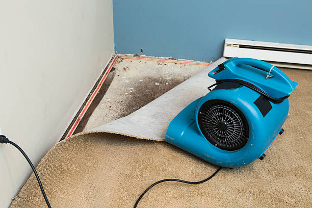 Best Water damage restoration cost  in Sandwich, IL